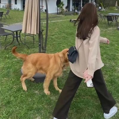 关人七事粤语