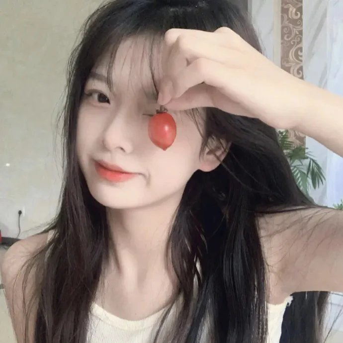 秋菊打官司